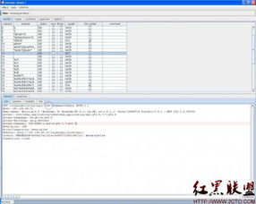 Burp Suite工具使用之二 Intruder模塊在網絡與信息安全軟件開發中的應用